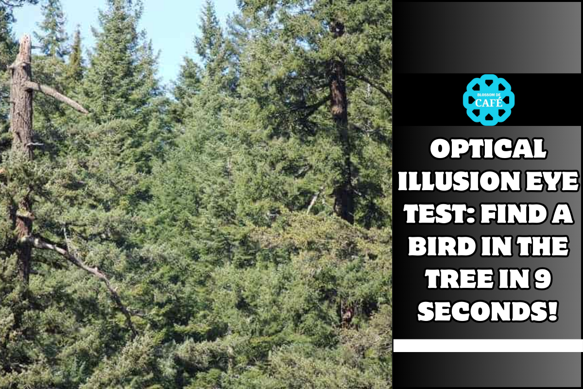 Optical Illusion Eye Test Find a bird in the tree in 9 seconds!